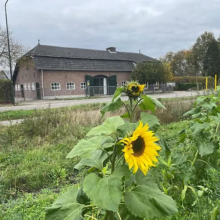 't Ouw Ateljeeke B&B *